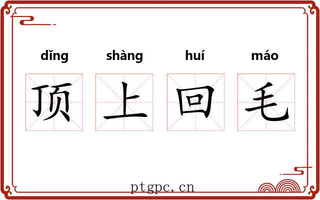 顶上回毛