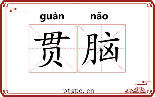 贯脑 贯脑