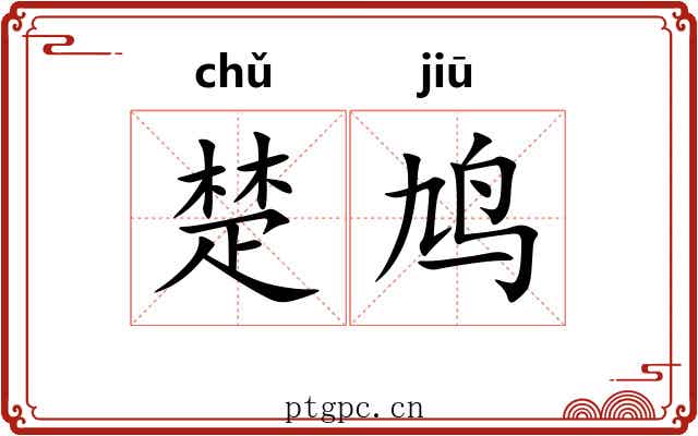 楚鸠