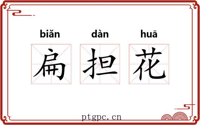 扁担花