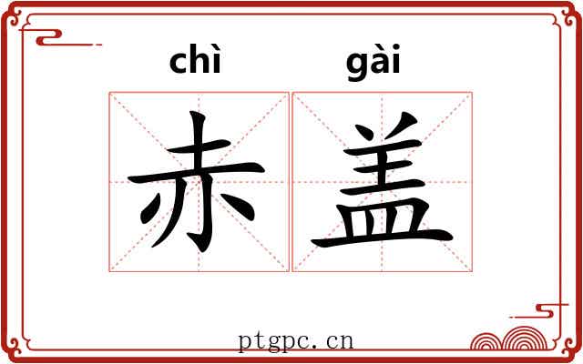 赤盖 赤盖