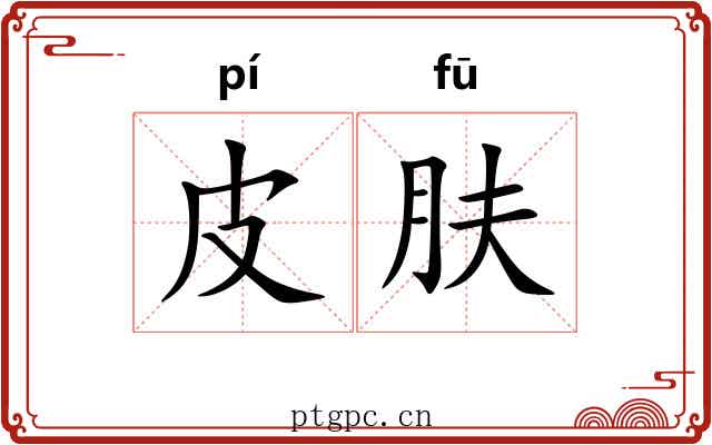 皮肤 皮肤