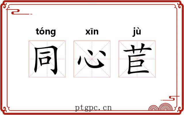 同心苣