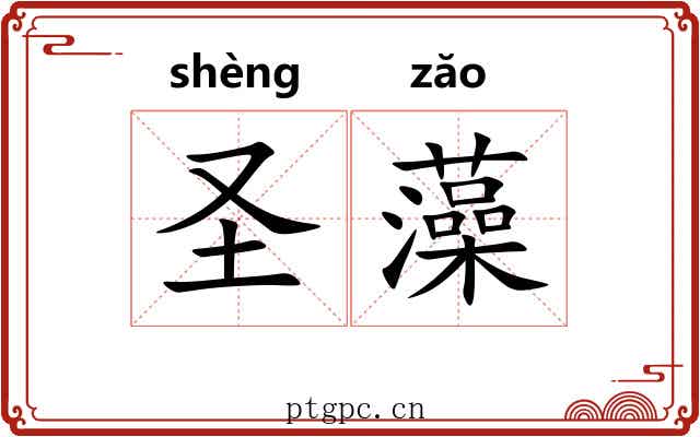 圣藻