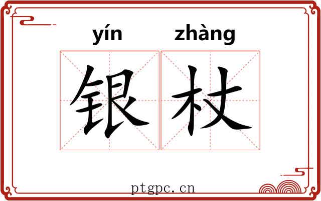 银杖 银杖