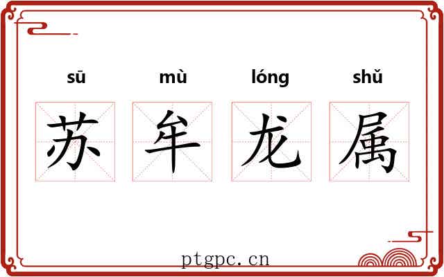 苏牟龙属