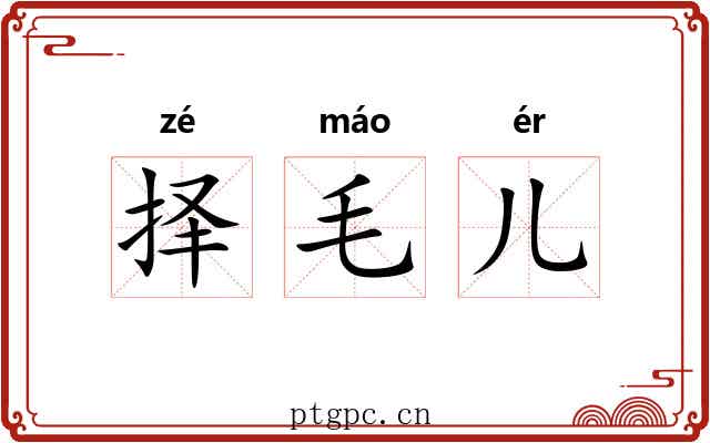 择毛儿