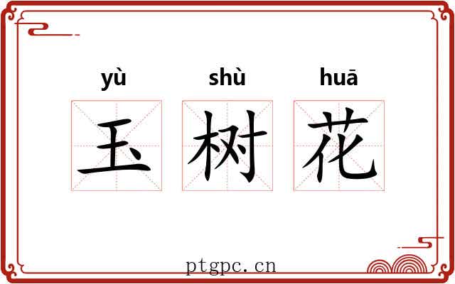 玉树花