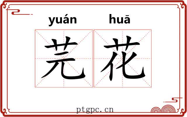 芫花 芫花