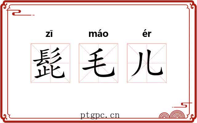 髭毛儿
