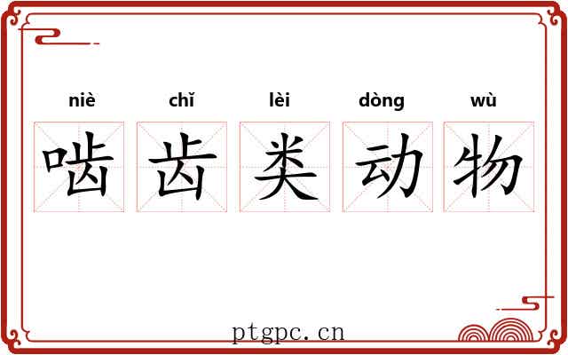 啮齿类动物