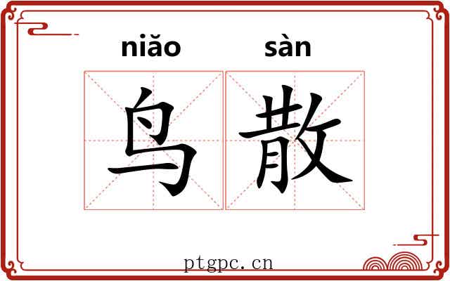 鸟散 鸟散