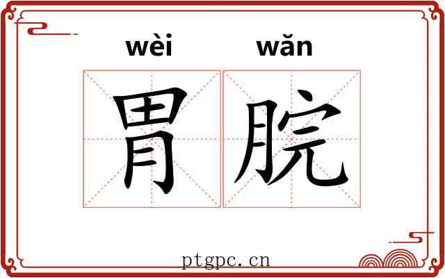 胃脘