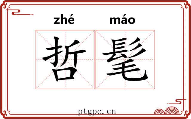 哲髦