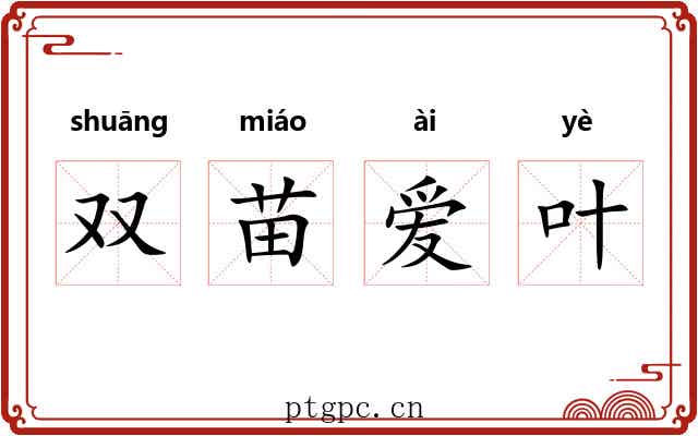 双苗爱叶