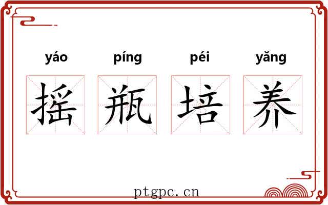 摇瓶培养