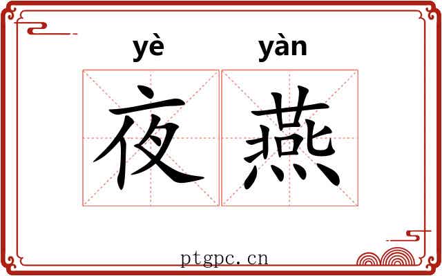 夜燕
