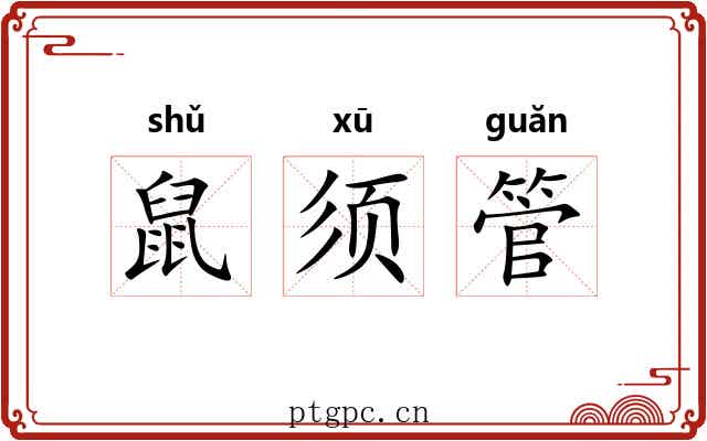 鼠须管 鼠须管