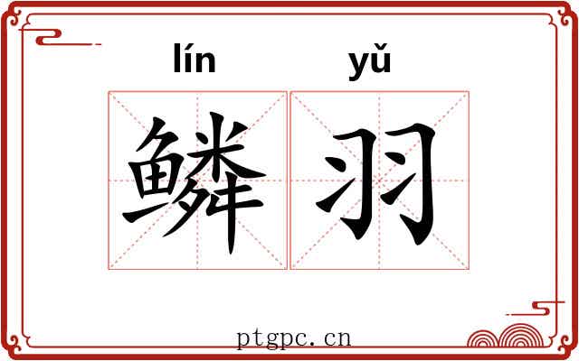 鳞羽