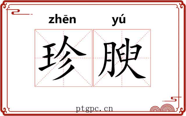 珍腴