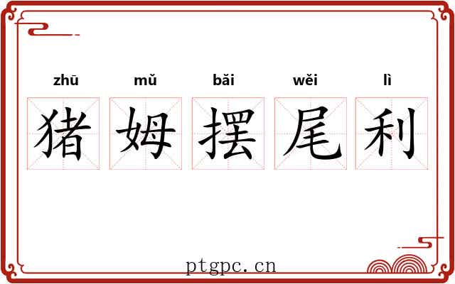 猪姆摆尾利