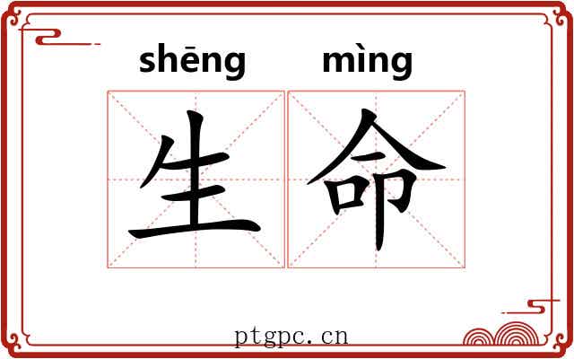 生命 生命