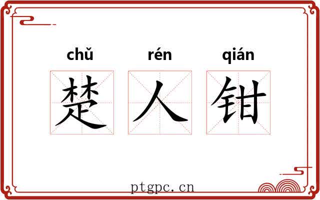 楚人钳