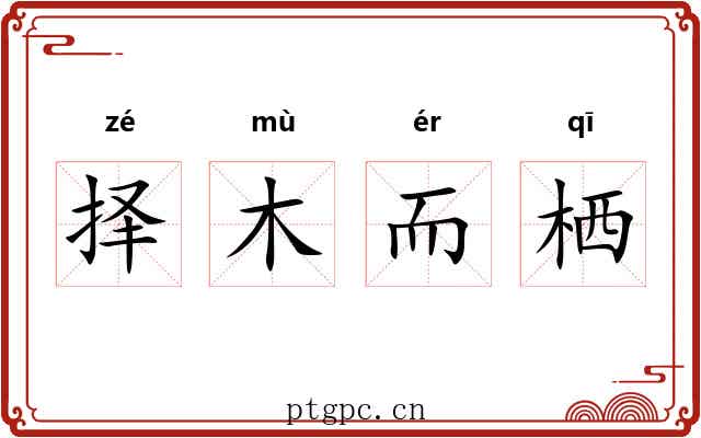 择木而栖