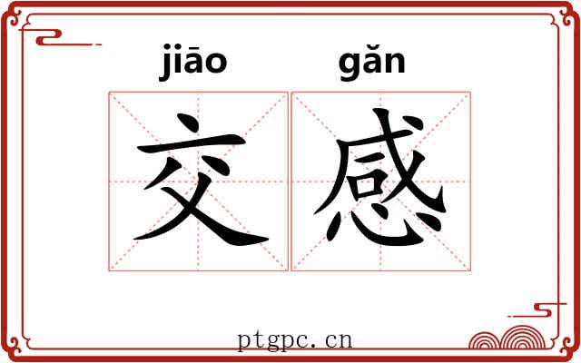 交感