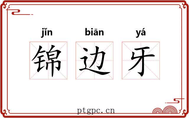 锦边牙 锦边牙
