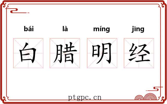 白腊明经 白腊明经