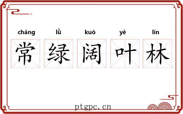 常绿阔叶林