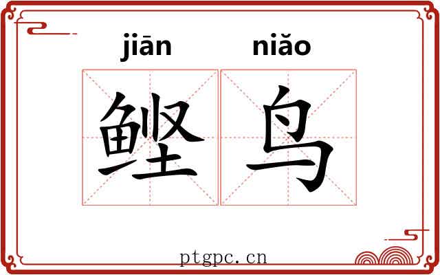 鲣鸟