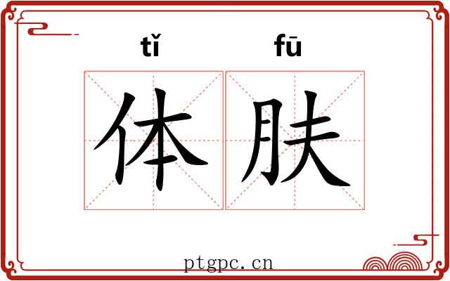 体肤 体肤