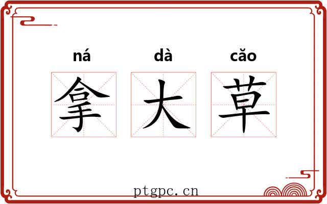 拿大草