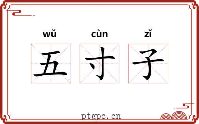 五寸子