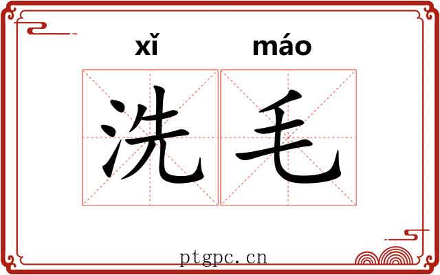 洗毛 洗毛