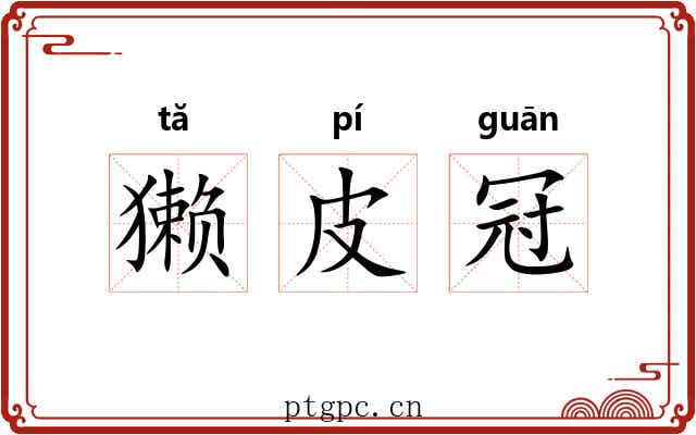 獭皮冠