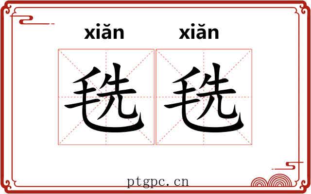 毨毨