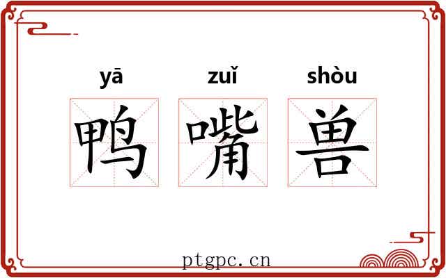 鸭嘴兽 鸭嘴兽