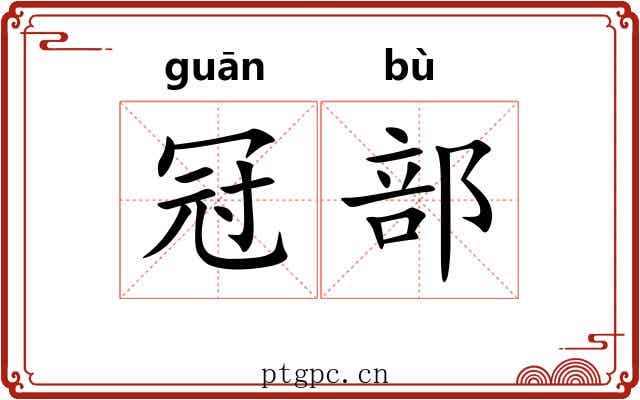 冠部