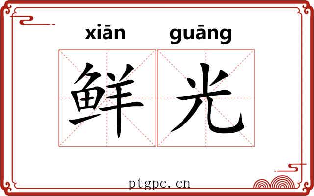 鲜光