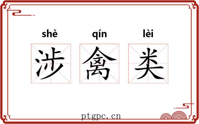 涉禽类