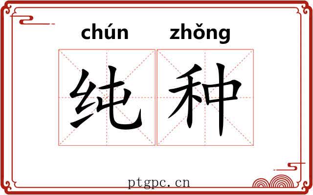 纯种 纯种