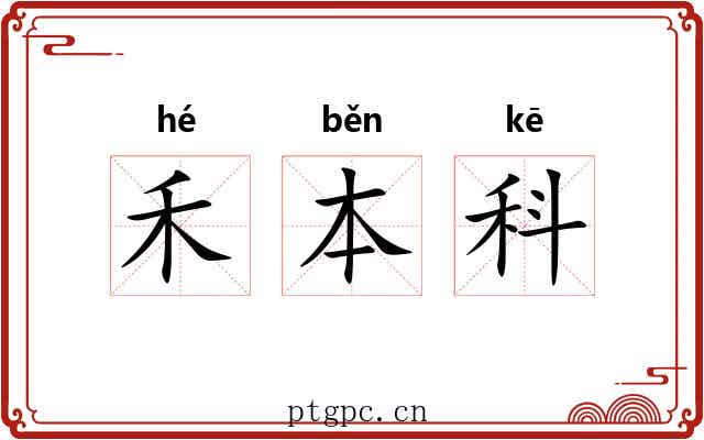 禾本科