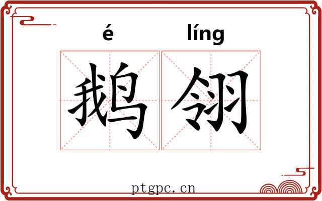 鹅翎