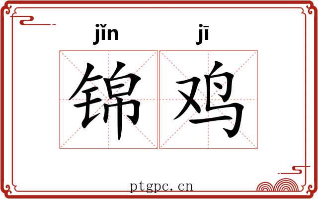 锦鸡
