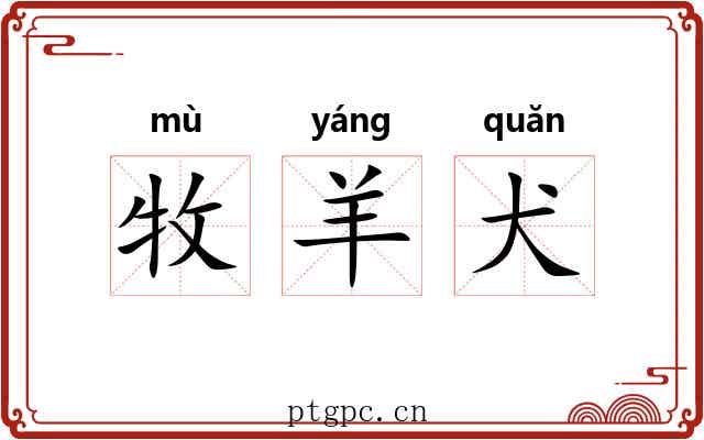 牧羊犬