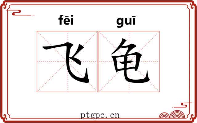 飞龟 飞龟