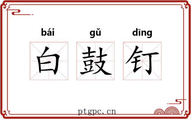 白鼓钉 白鼓钉